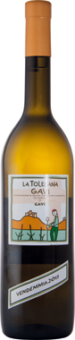 Gavi di Gavi, La Toledana, Domini Villa Lanata