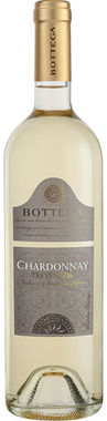 BOTTEGA CHARDONNAY 75X6