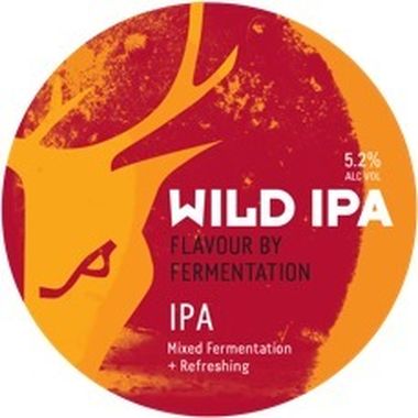 Wild IPA, Keg 30 lt x 1