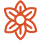 Anise