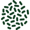 Dried Thyme
