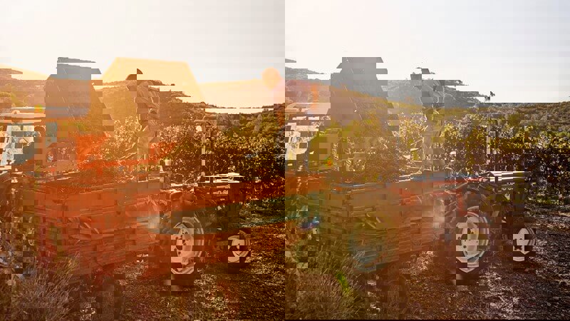 Vineyard Tractor.JPG