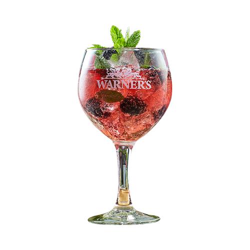 Warner's Raspberry Gin & Tonic