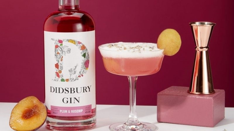 Didsbury Gin Plum & Rosehip bottle is on a table, next to it in a classic coupe glass is Plum Sour - pink in colour with white foam on top. A cut plum is next to it and a measurer in rose gold too.
