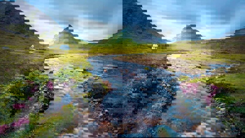 Scotch Highlands.JPG