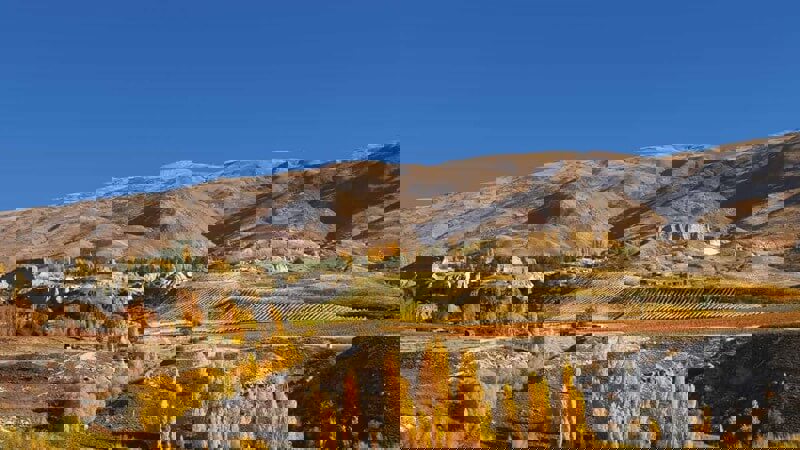 Cool Climate Wines.jpg