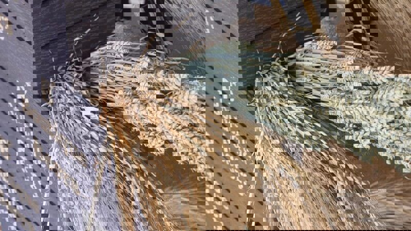 Boutique Beers Hyde Park Event.jpg