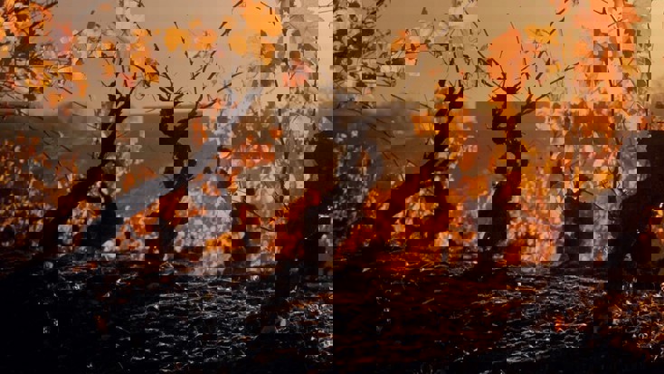 Autumn Release Image Square.jpg