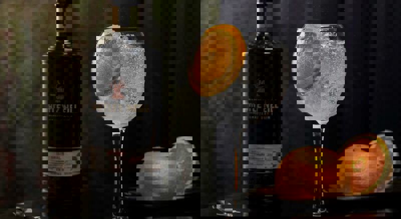 whitleyneilgin_opt-1.jpg